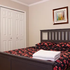 Shiny Spacious With Perfect View In Crescent Appartement Montréal